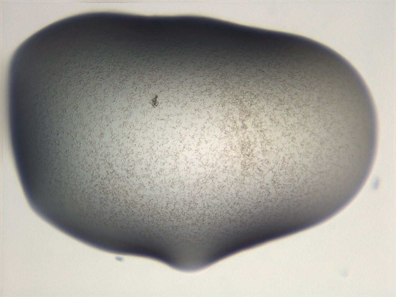 06e9_G1_ImagerDefaults_3.jpg