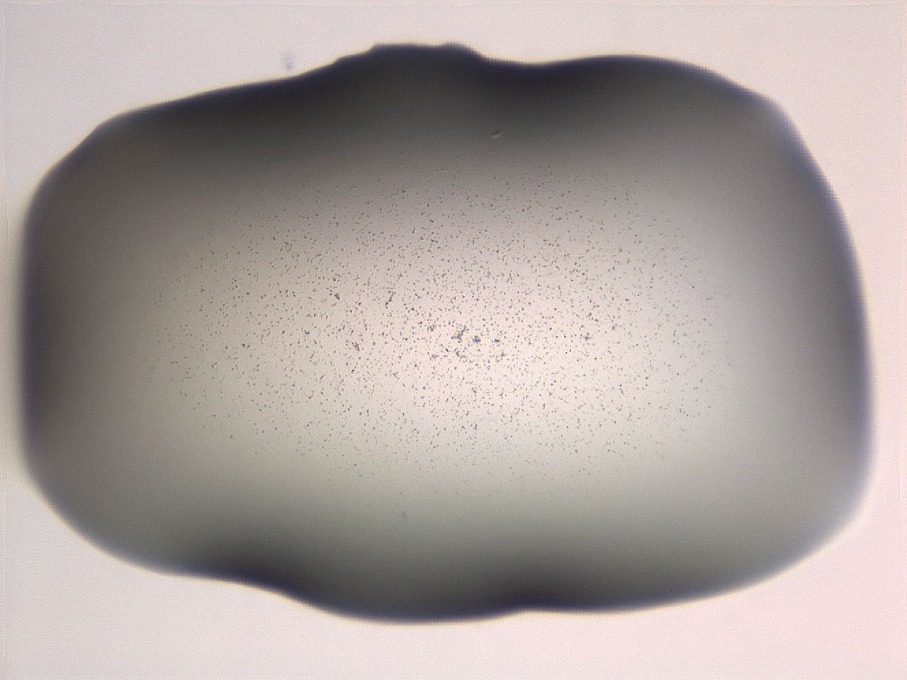 06e9_G4_ImagerDefaults_3.jpg