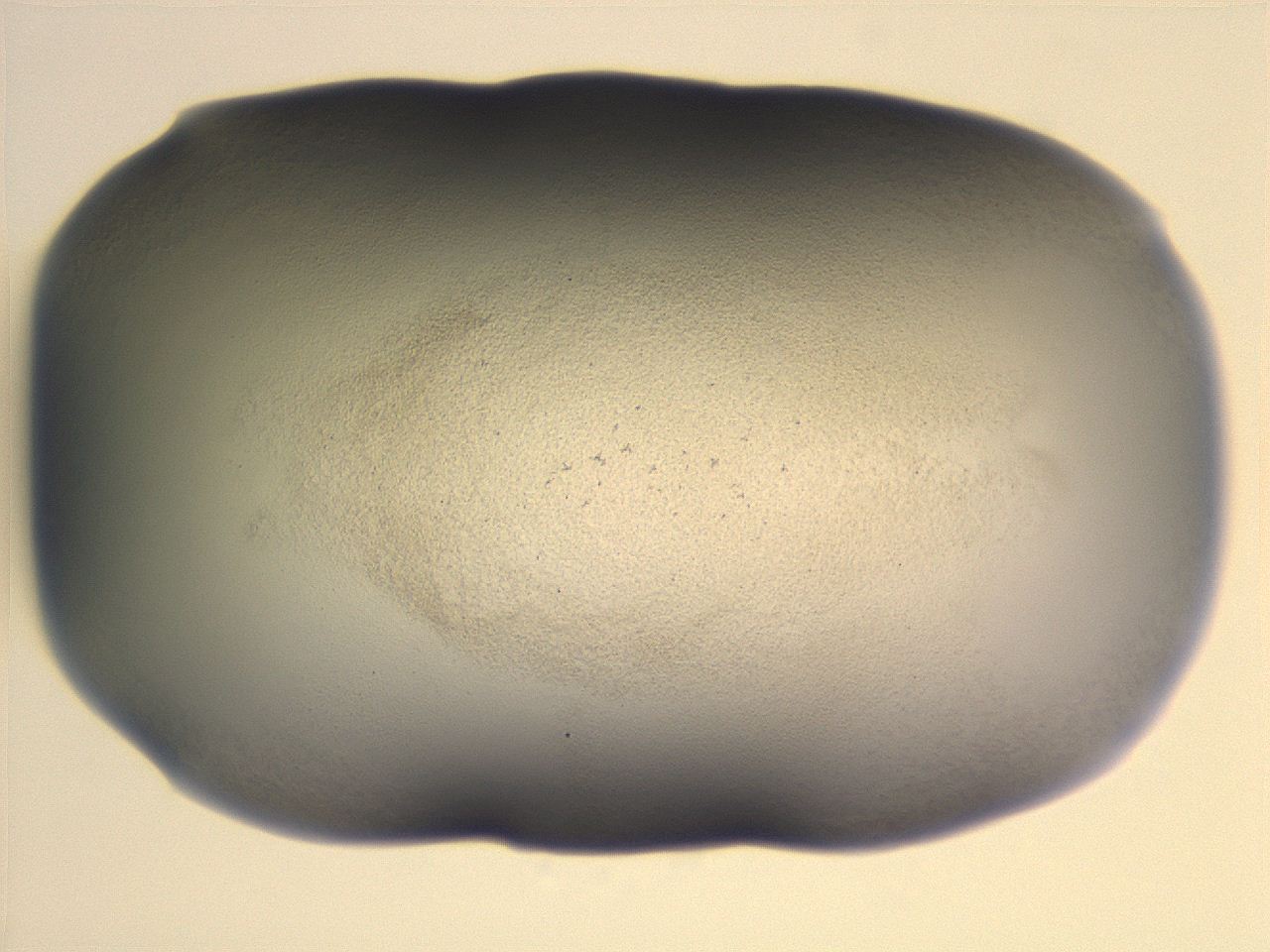 06e9_G6_ImagerDefaults_3.jpg