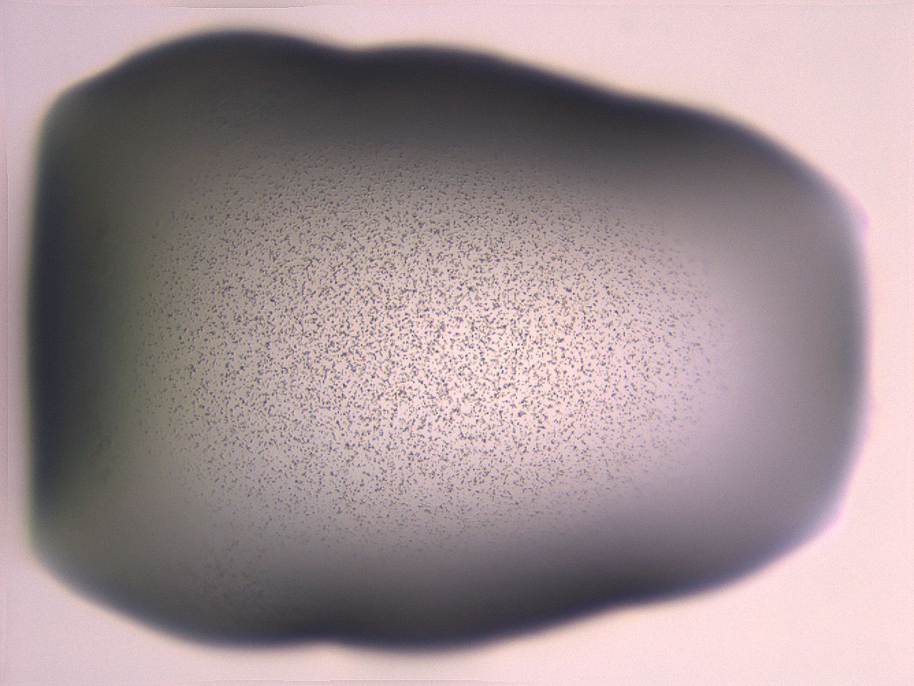 06e9_G10_ImagerDefaults_3.jpg