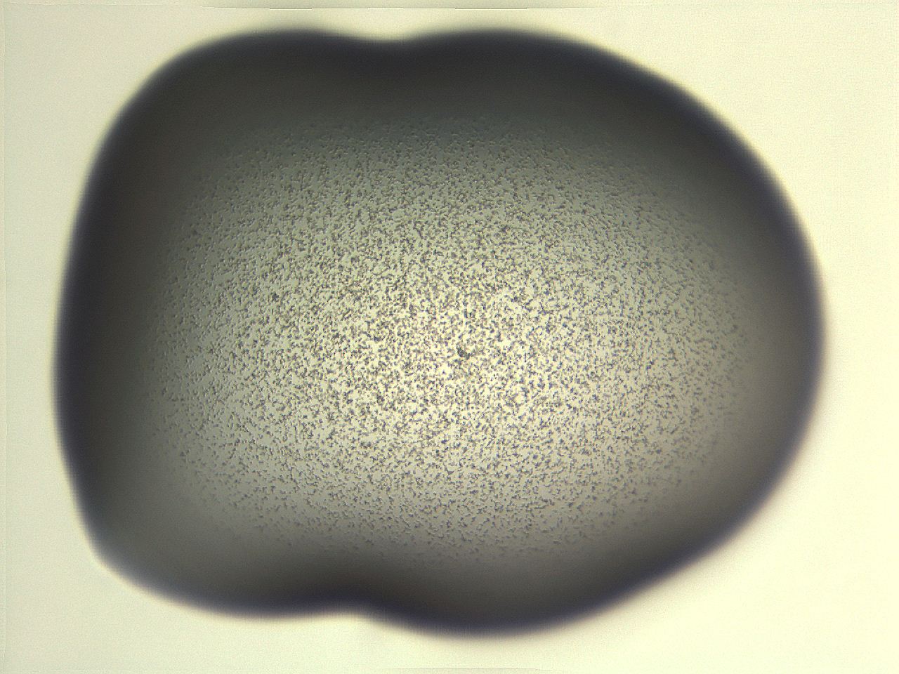 06e9_G11_ImagerDefaults_3.jpg