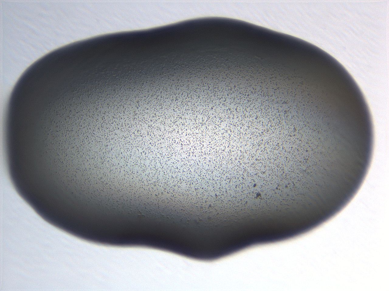 06e9_H1_ImagerDefaults_3.jpg