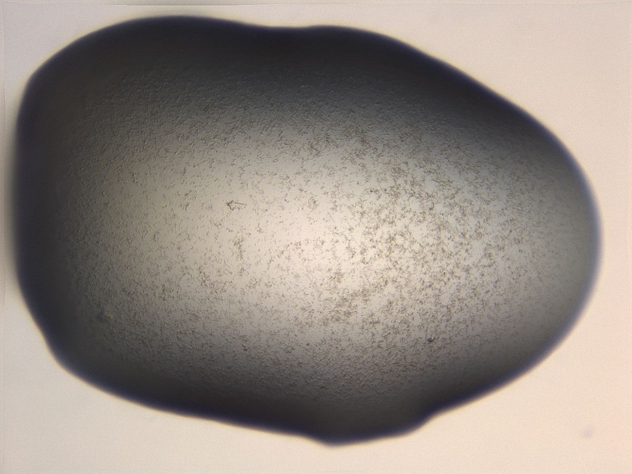 06e9_H2_ImagerDefaults_3.jpg