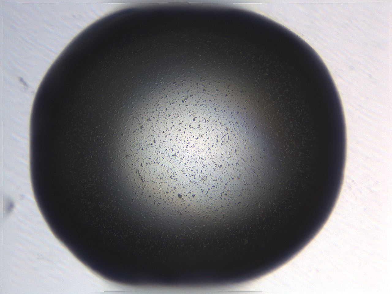 06e9_H5_ImagerDefaults_3.jpg