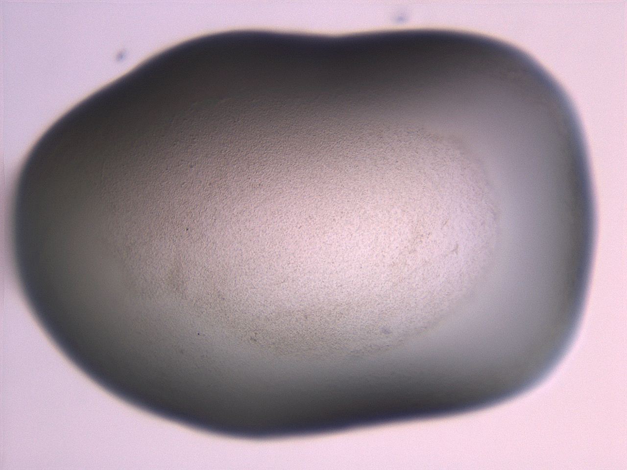 06e9_H6_ImagerDefaults_3.jpg