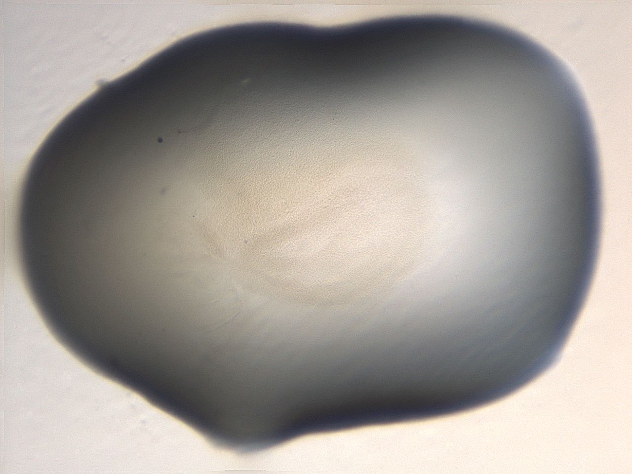 06e9_H8_ImagerDefaults_3.jpg