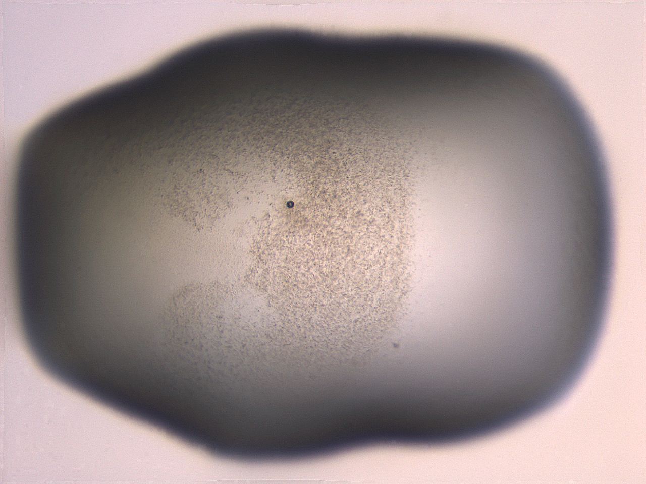 06e9_H10_ImagerDefaults_3.jpg