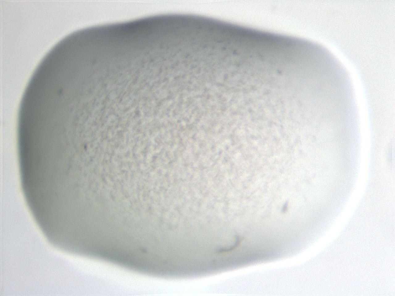 06e9_H11_ImagerDefaults_3.jpg