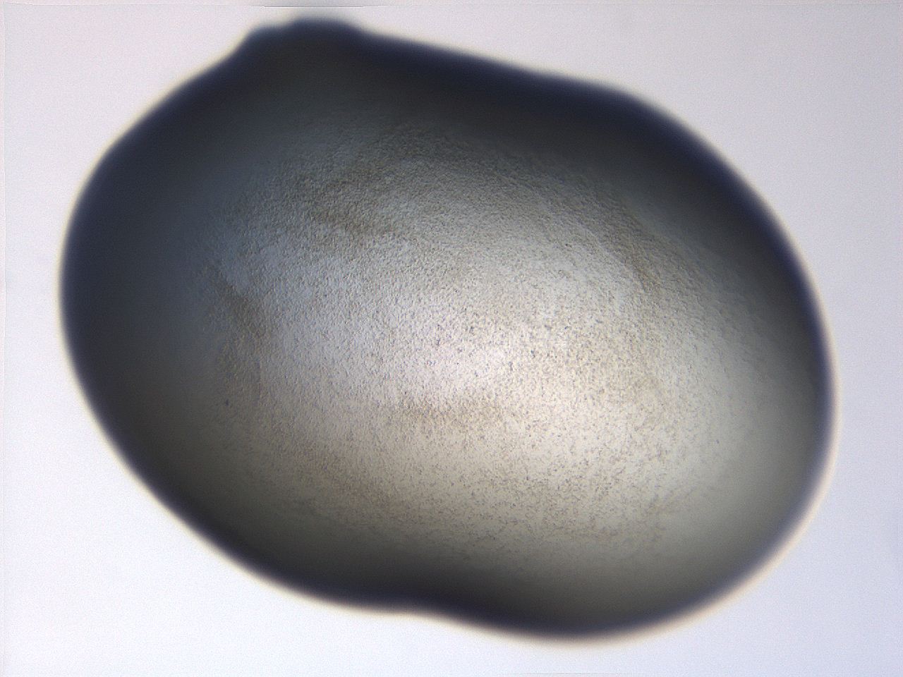 06ea_A1_ImagerDefaults_3.jpg