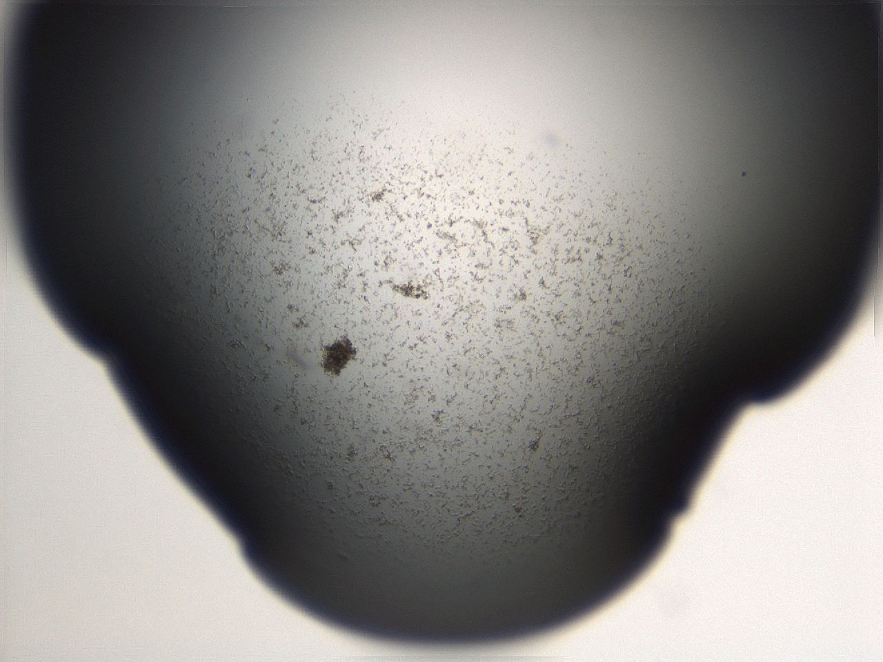 06ea_A7_ImagerDefaults_3.jpg