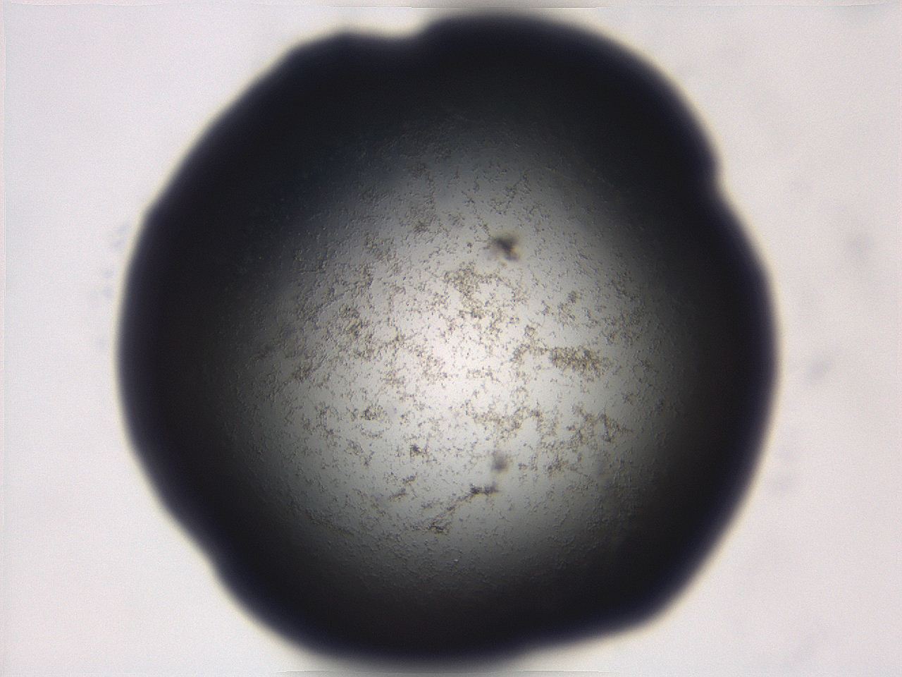 06ea_A8_ImagerDefaults_3.jpg