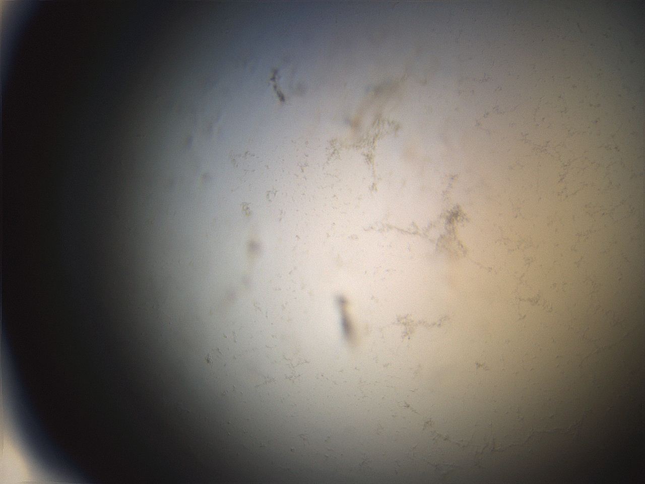 06ea_A10_ImagerDefaults_3.jpg