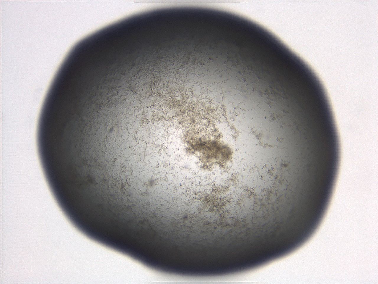 06ea_A11_ImagerDefaults_3.jpg