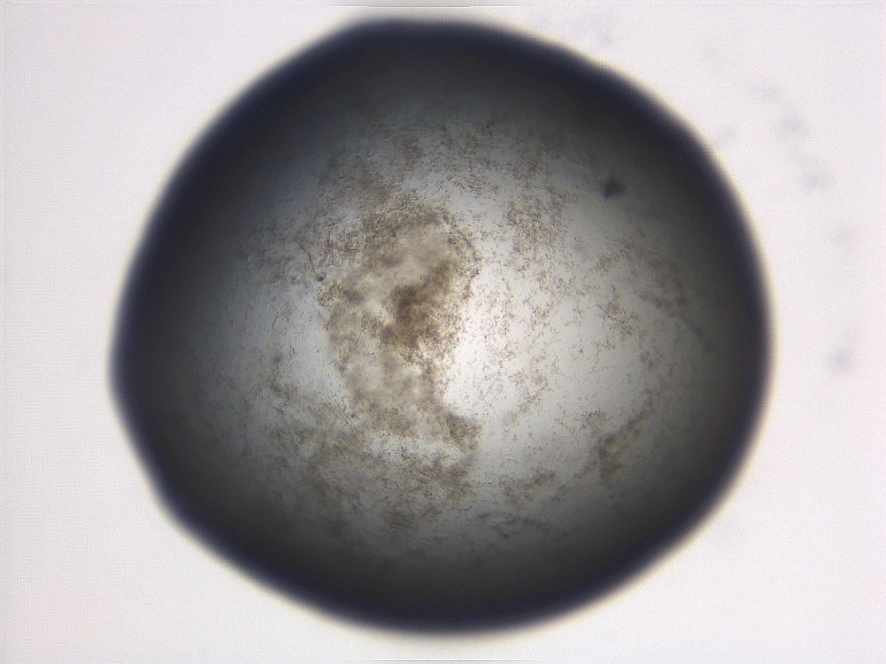 06ea_A12_ImagerDefaults_3.jpg