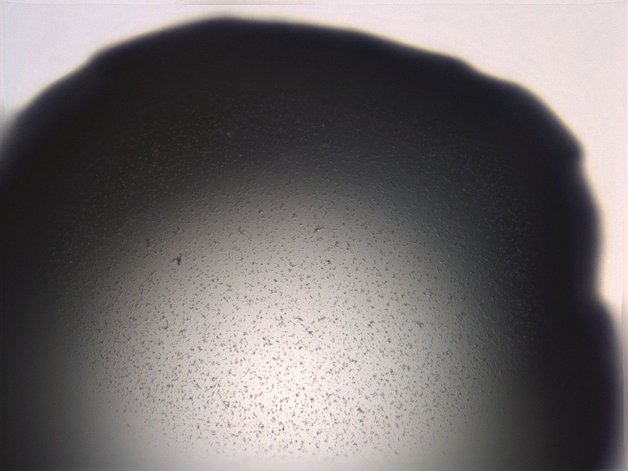 06ea_B2_ImagerDefaults_3.jpg