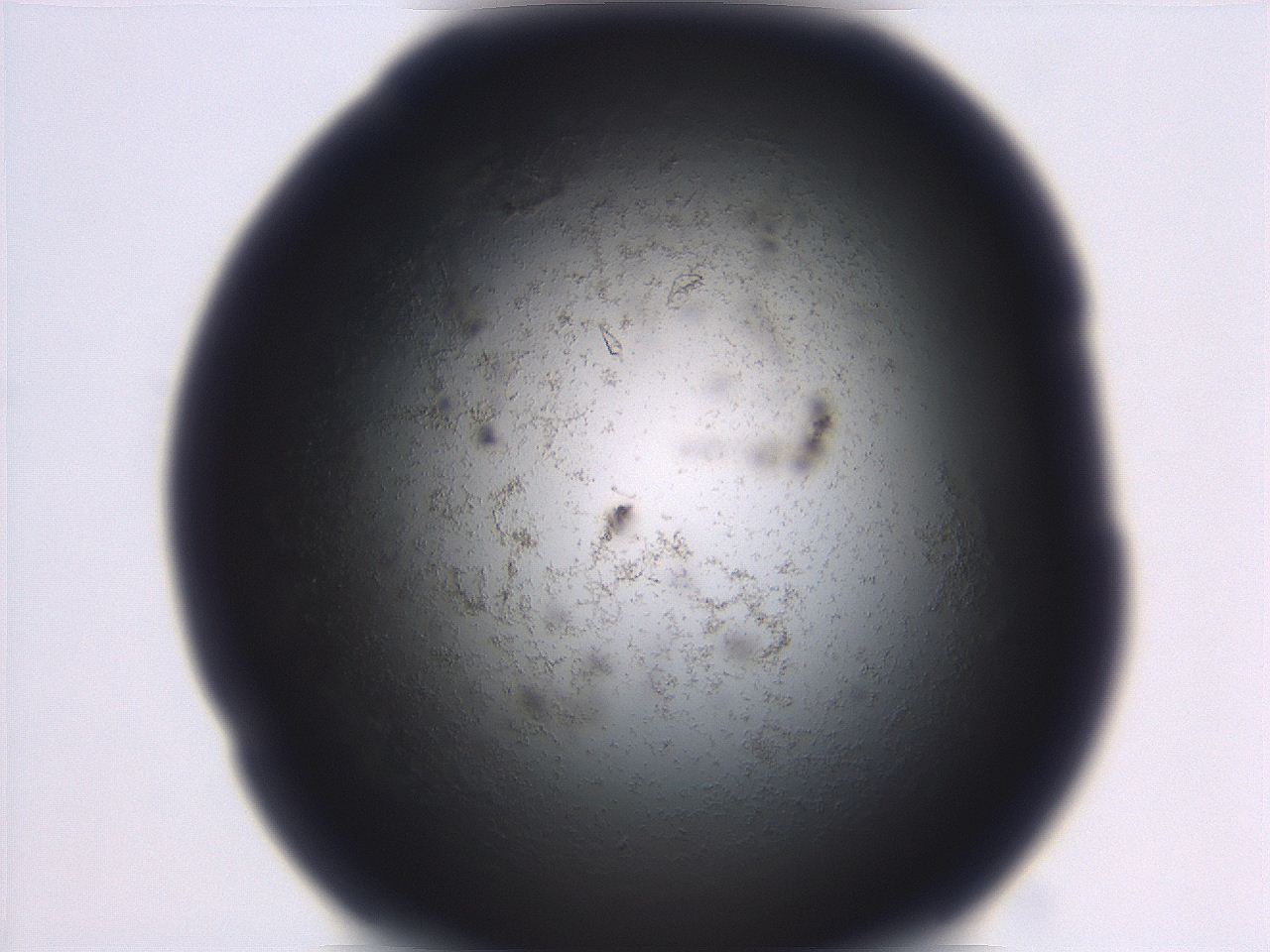 06ea_B10_ImagerDefaults_3.jpg