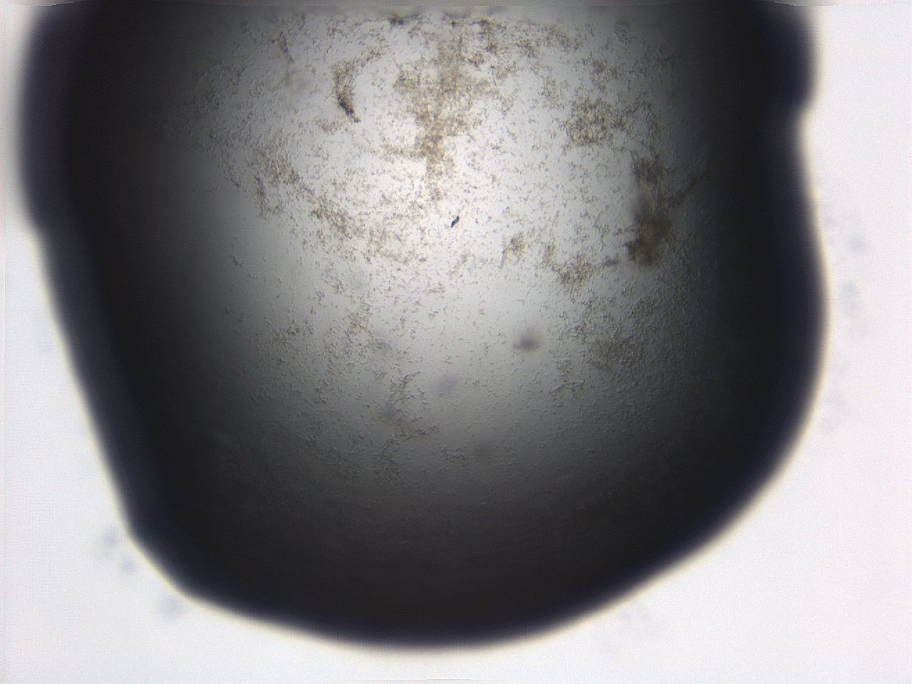 06ea_B11_ImagerDefaults_3.jpg