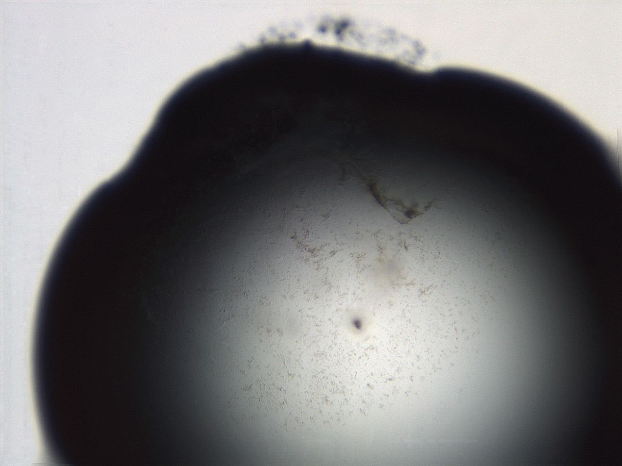 06ea_B12_ImagerDefaults_3.jpg