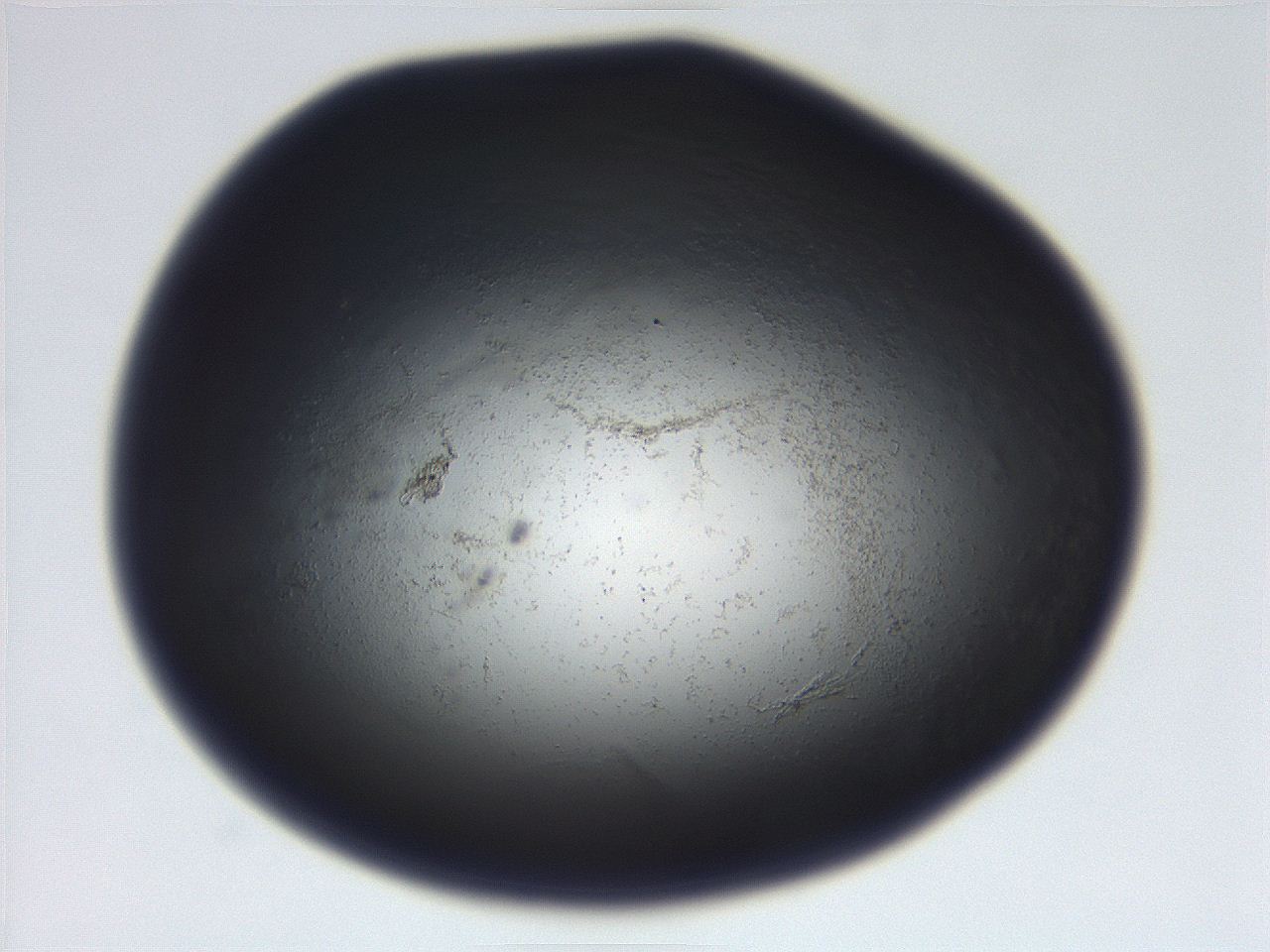 06ea_C1_ImagerDefaults_3.jpg