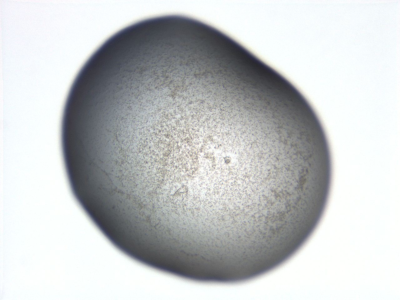06ea_C5_ImagerDefaults_3.jpg