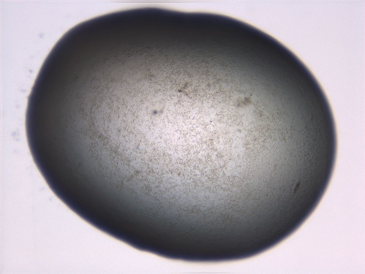 06ea_C6_ImagerDefaults_3.jpg