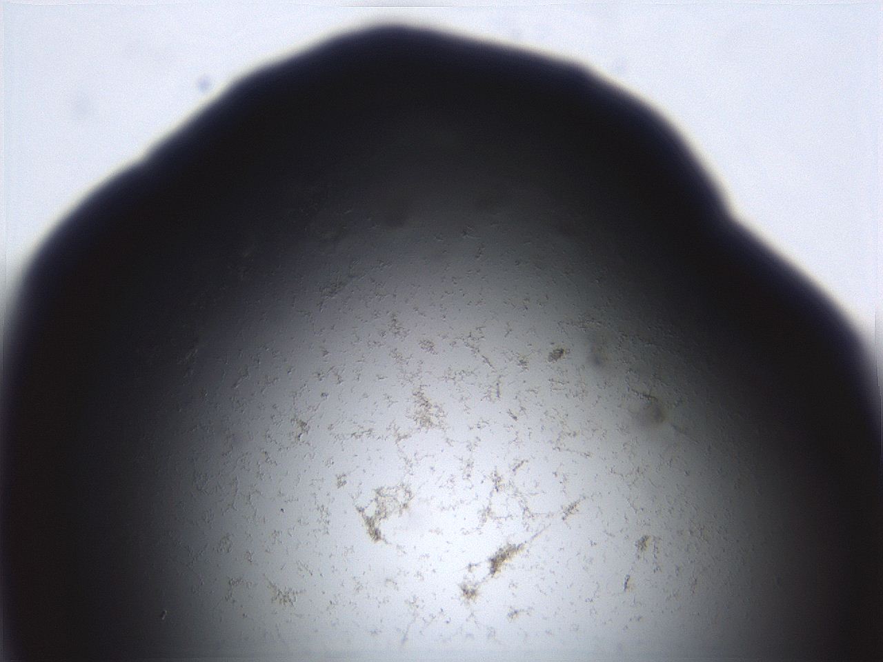 06ea_C10_ImagerDefaults_3.jpg