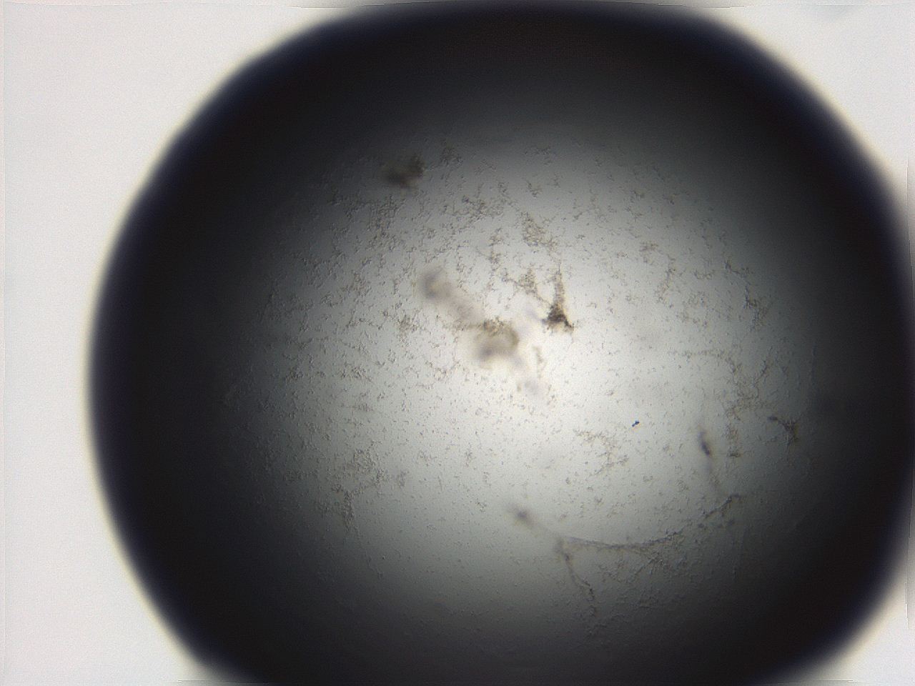 06ea_C11_ImagerDefaults_3.jpg