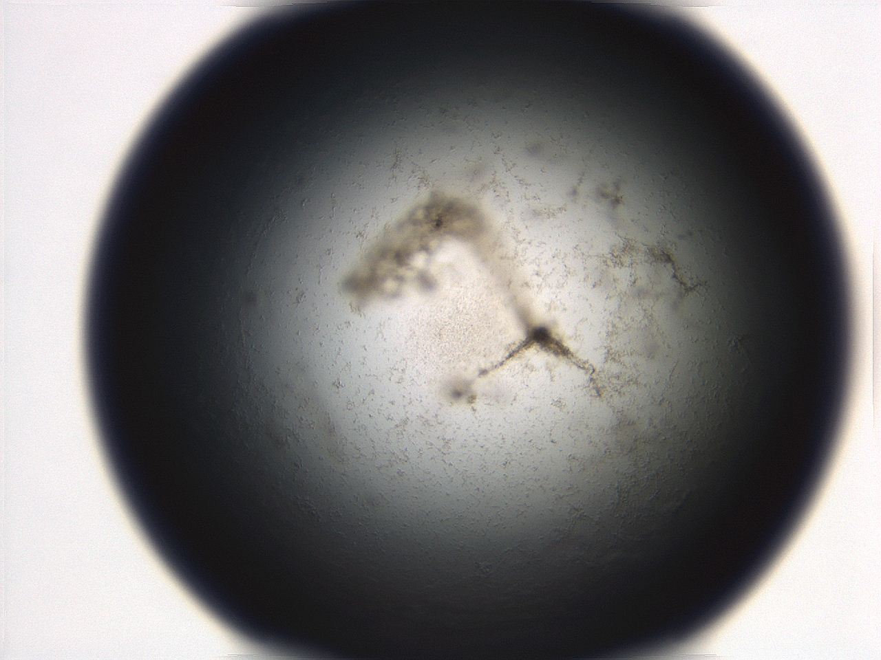 06ea_C12_ImagerDefaults_3.jpg