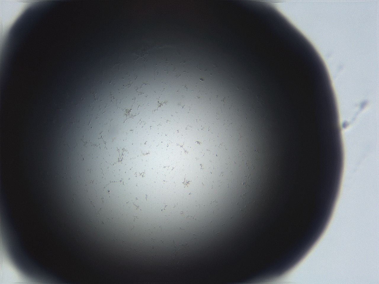 06ea_D2_ImagerDefaults_3.jpg