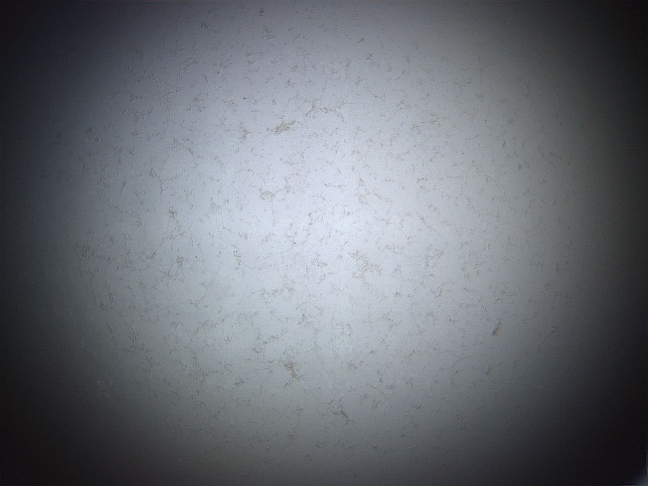 06ea_D6_ImagerDefaults_3.jpg