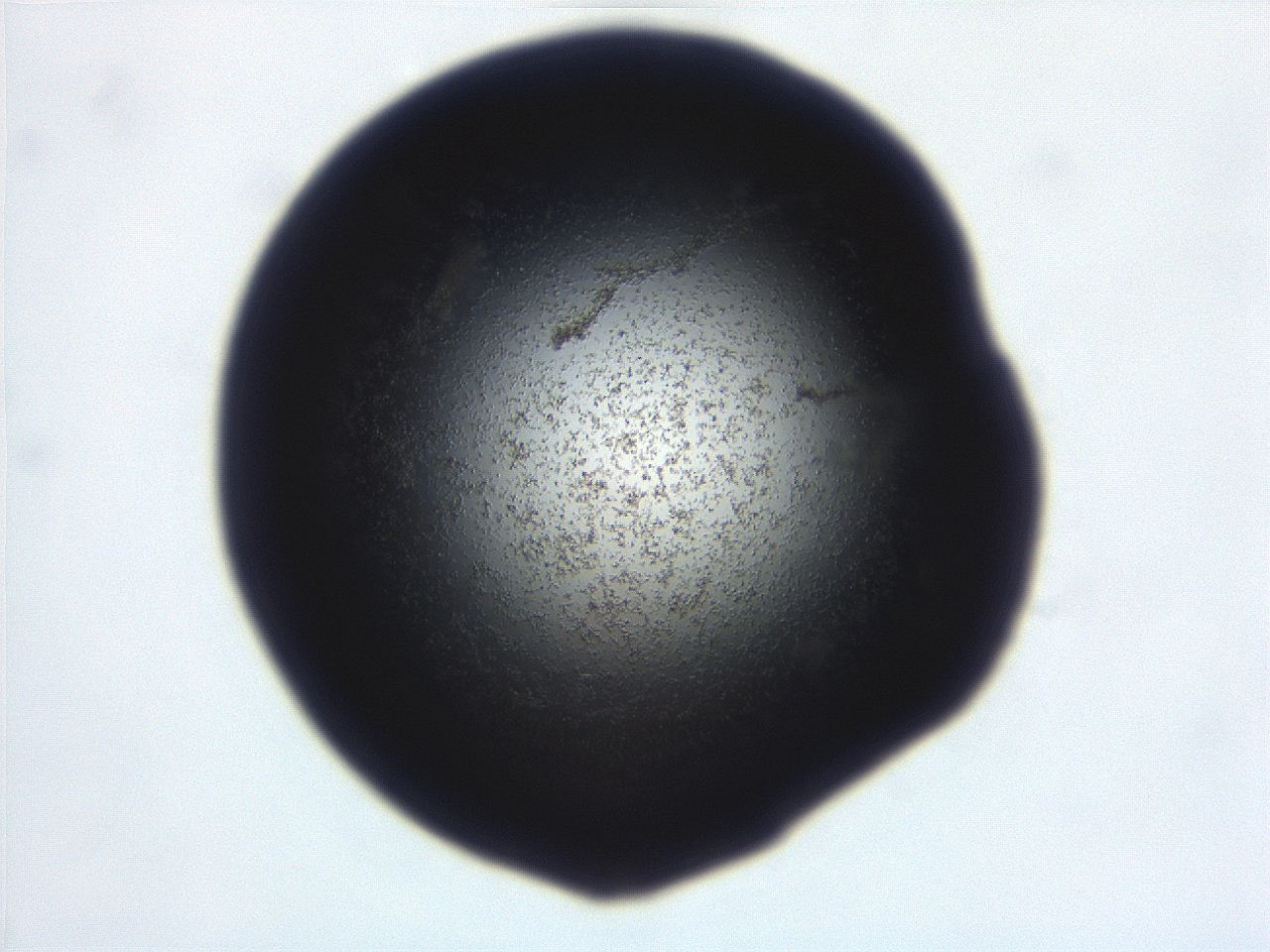 06ea_D10_ImagerDefaults_3.jpg
