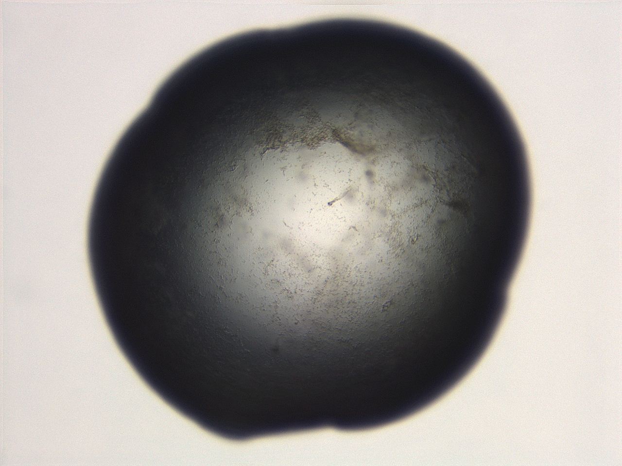 06ea_D11_ImagerDefaults_3.jpg