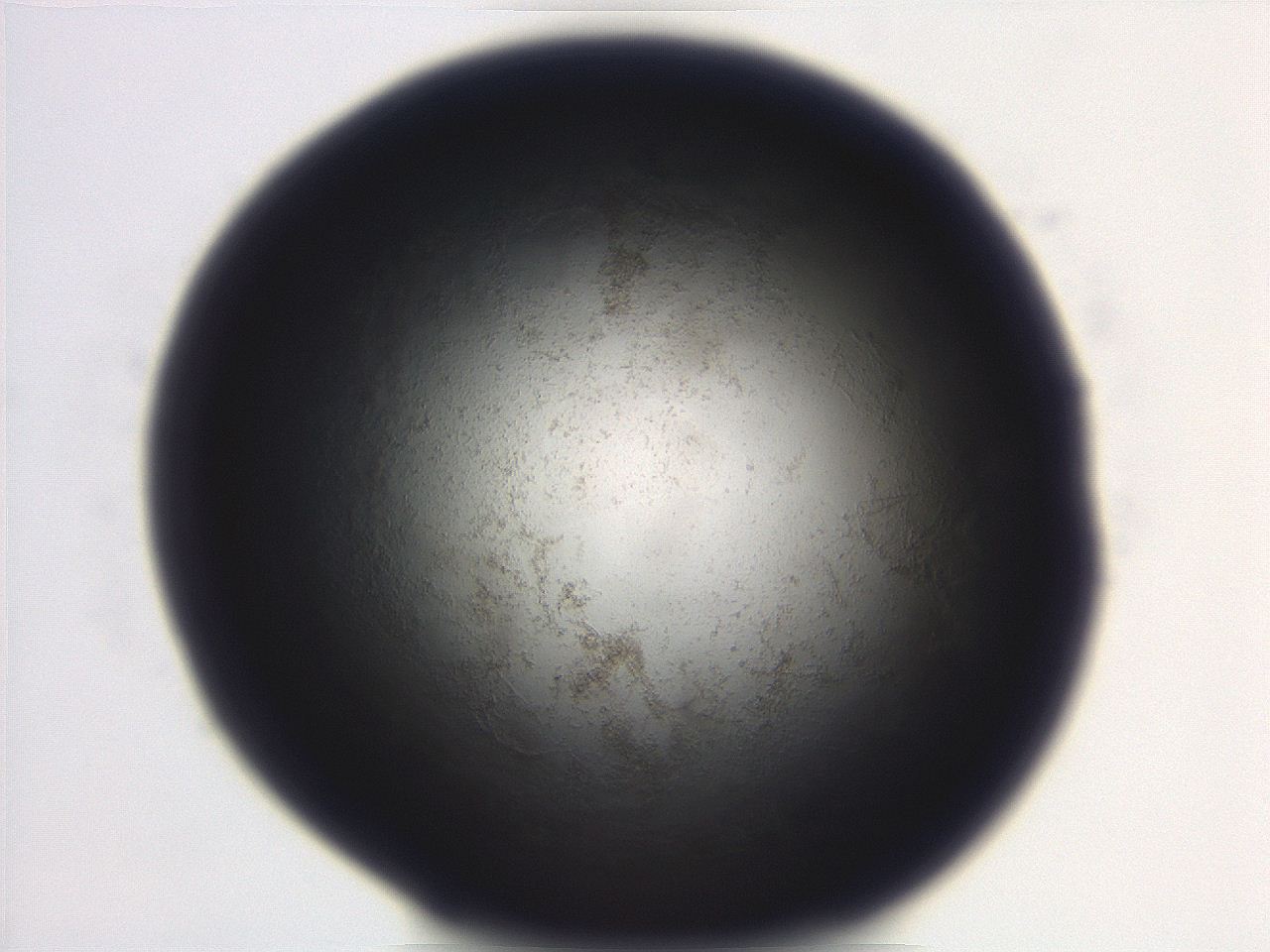 06ea_D12_ImagerDefaults_3.jpg