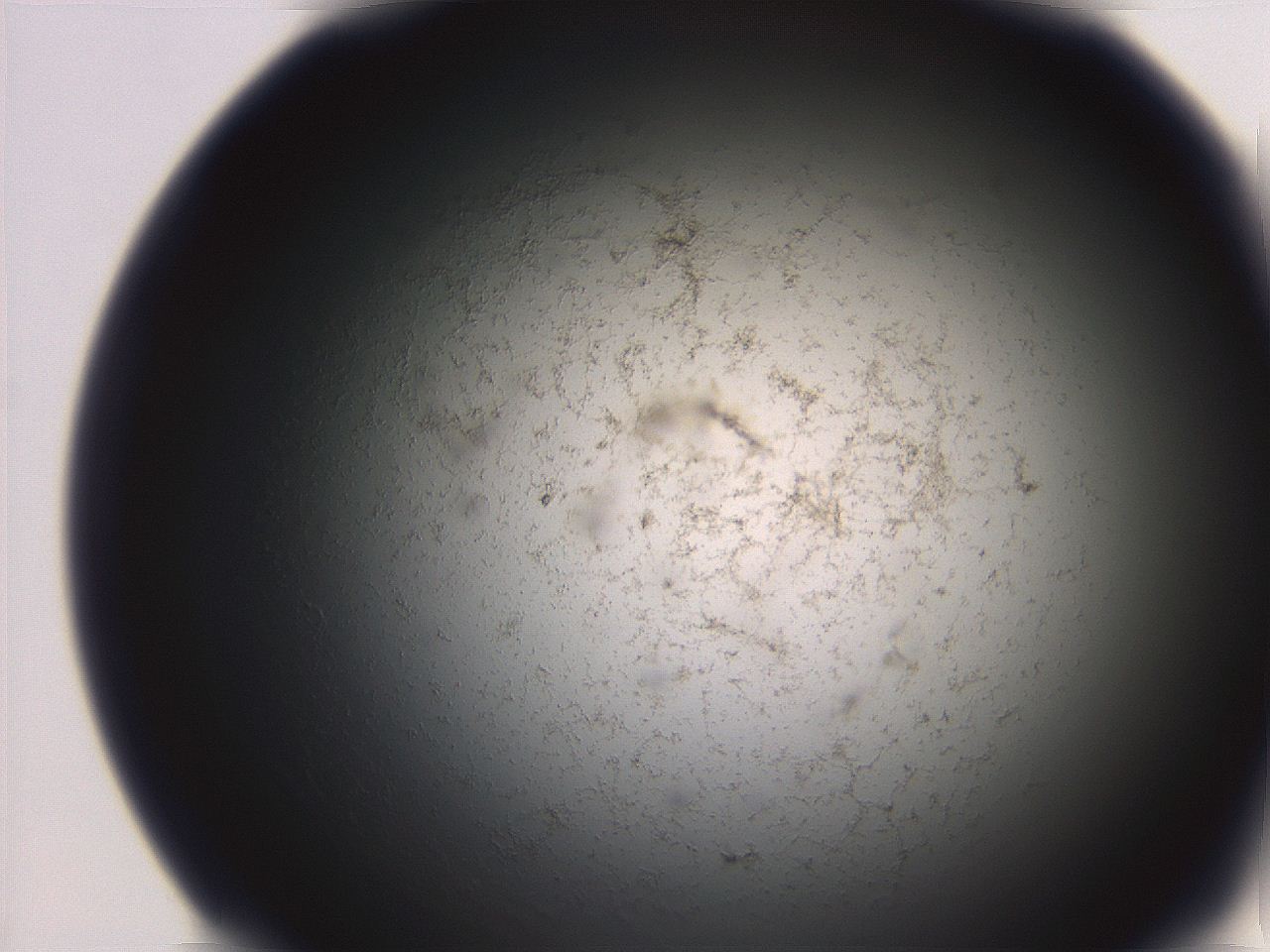 06ea_E11_ImagerDefaults_3.jpg