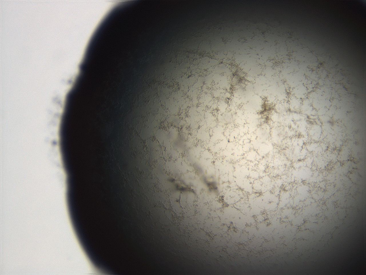 06ea_E12_ImagerDefaults_3.jpg