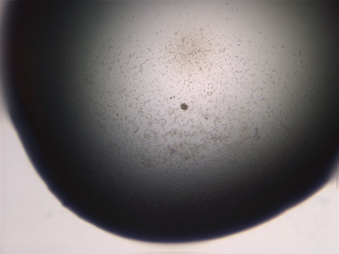 06ea_F3_ImagerDefaults_3.jpg