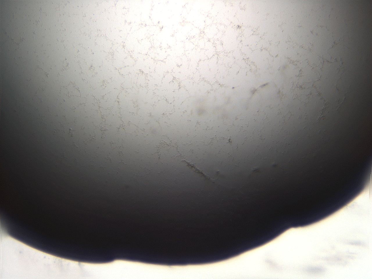 06ea_F8_ImagerDefaults_3.jpg