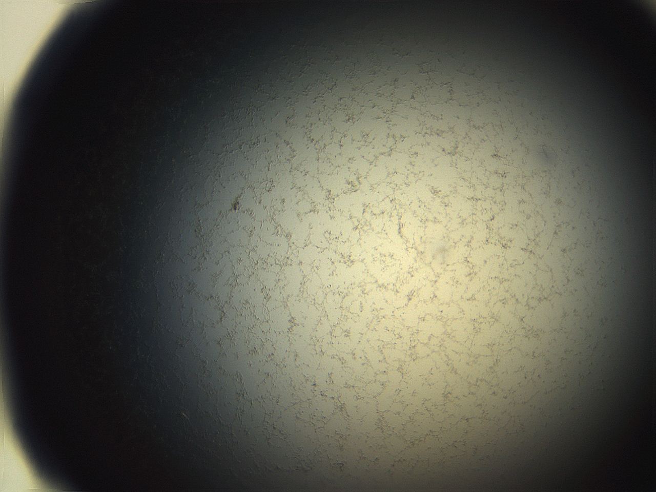 06ea_F10_ImagerDefaults_3.jpg