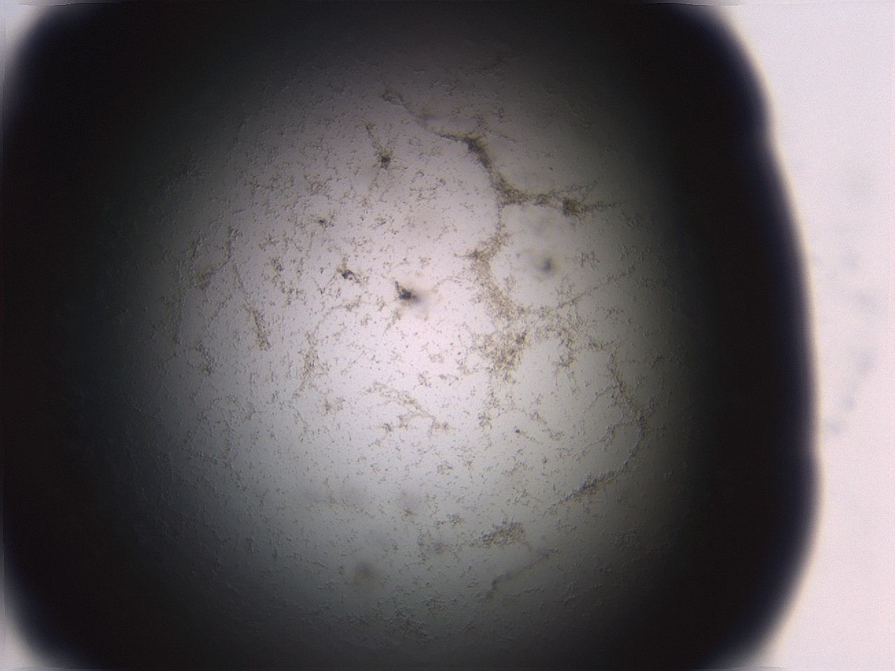 06ea_F11_ImagerDefaults_3.jpg