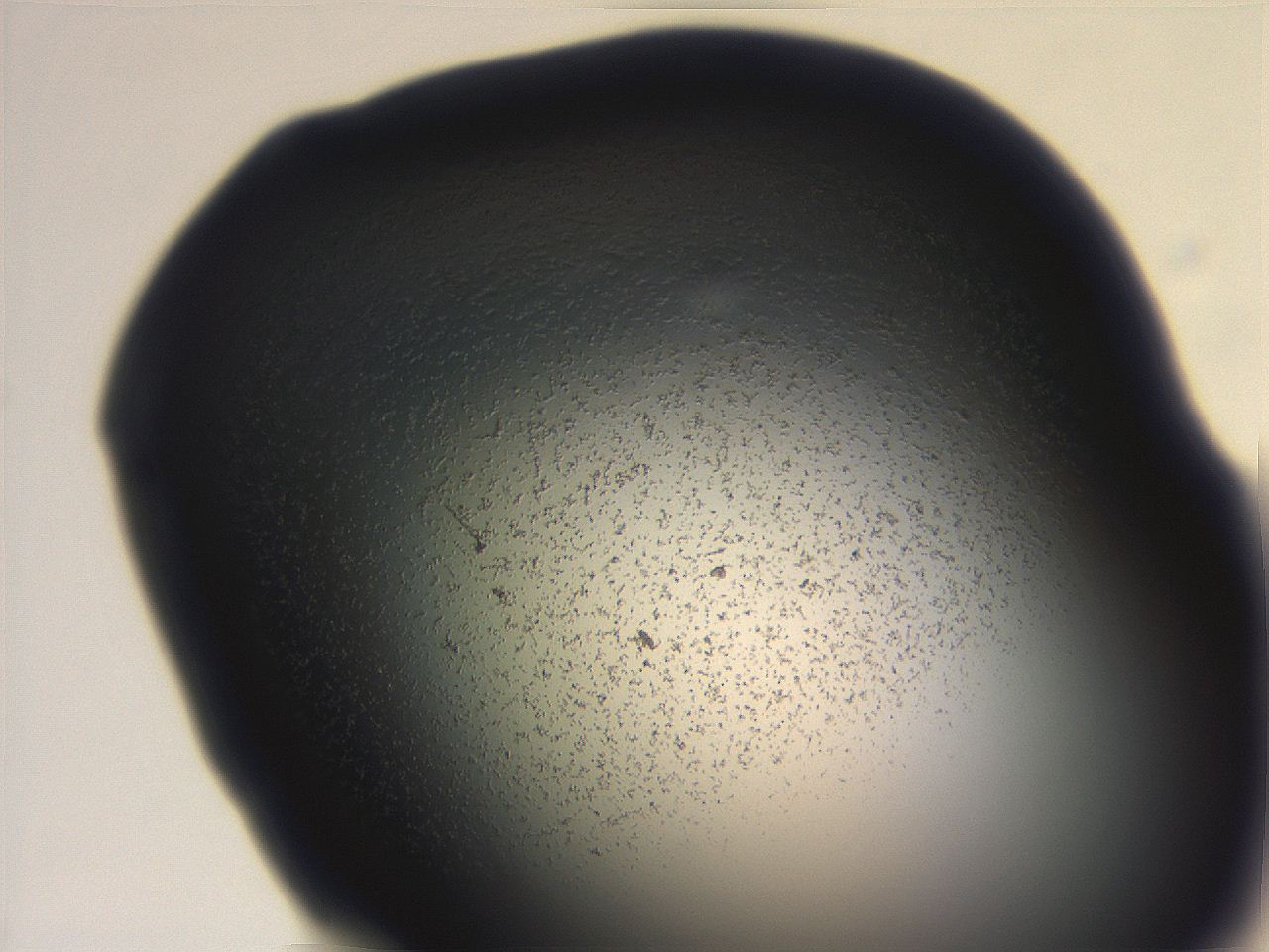 06ea_G2_ImagerDefaults_3.jpg