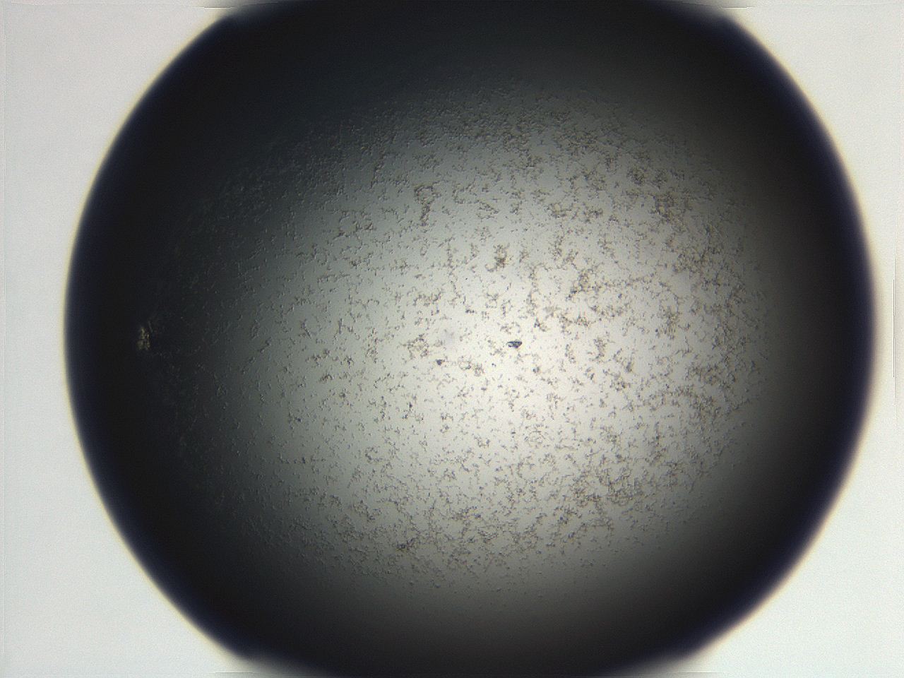 06ea_G5_ImagerDefaults_3.jpg