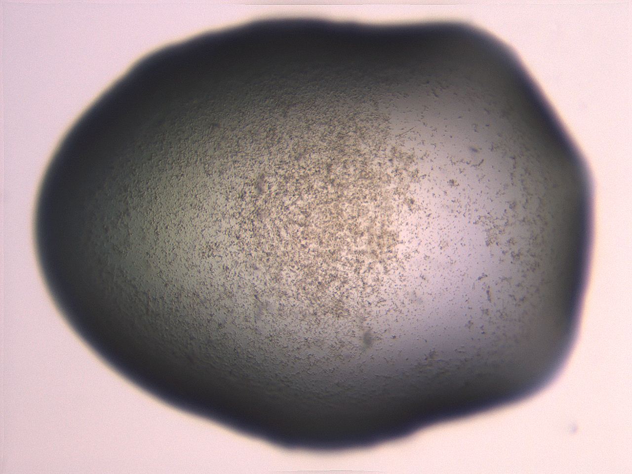 06ea_G10_ImagerDefaults_3.jpg