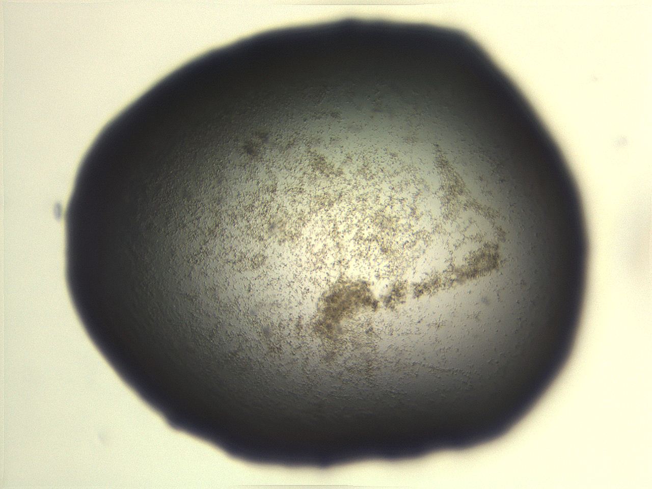 06ea_G11_ImagerDefaults_3.jpg