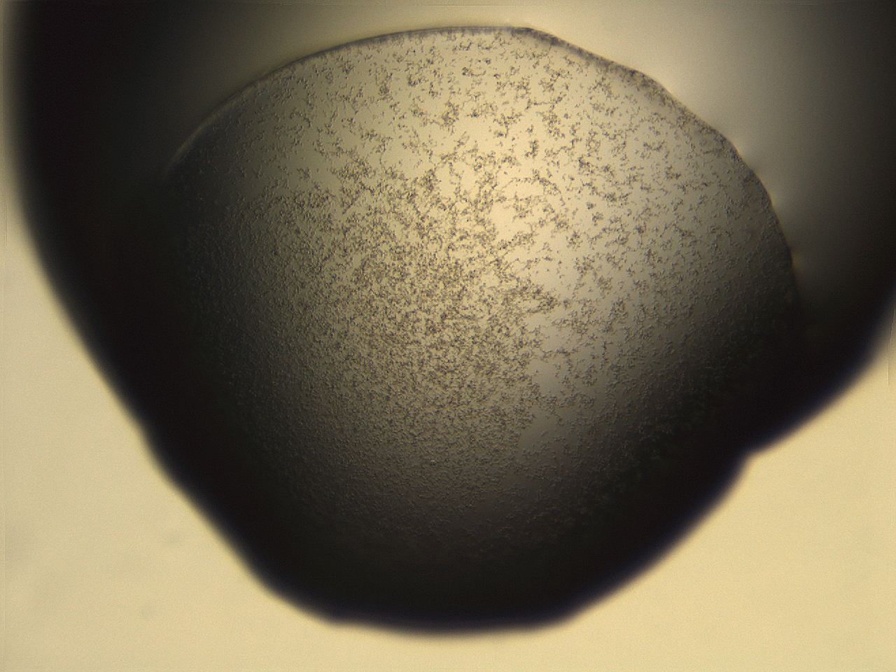 06eb_E1_ImagerDefaults_3.jpg