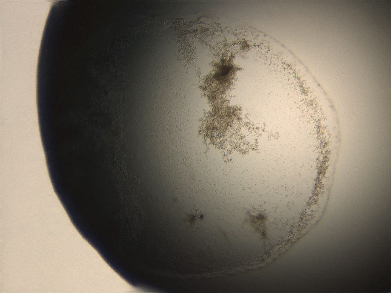 06eb_E4_ImagerDefaults_3.jpg