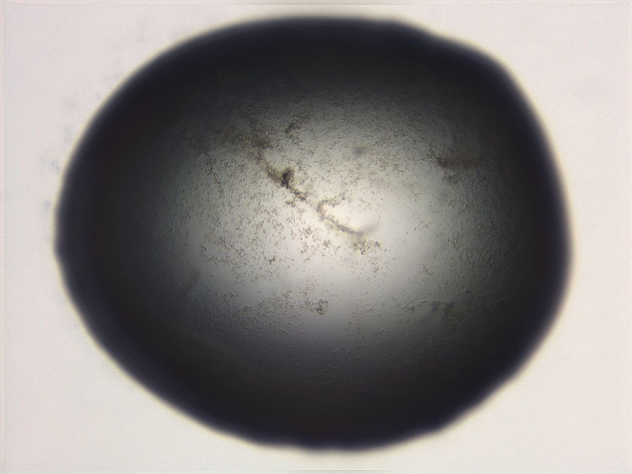06eb_D11_ImagerDefaults_3.jpg