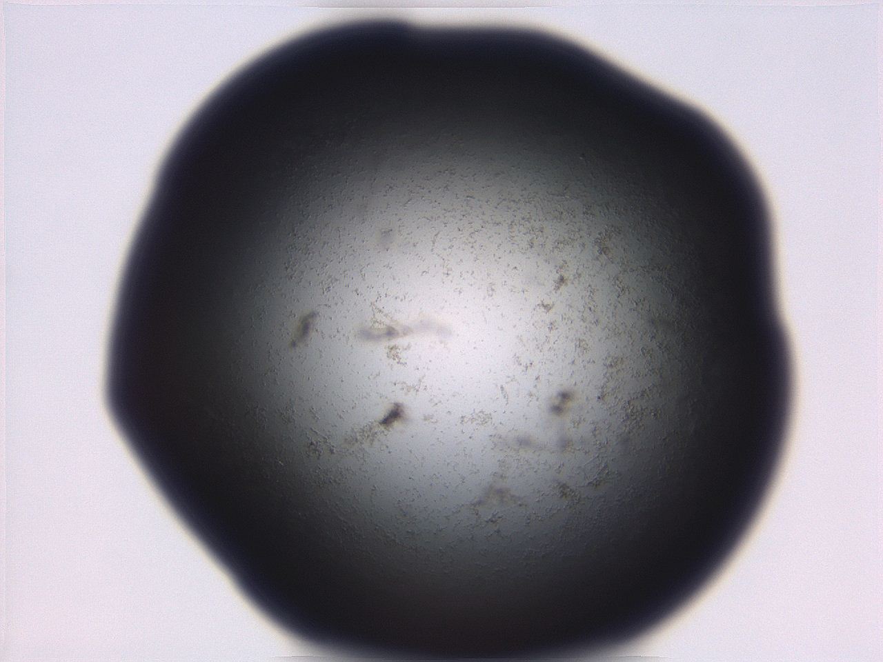 06eb_B10_ImagerDefaults_3.jpg