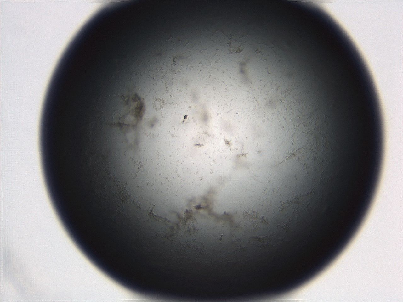 06eb_B11_ImagerDefaults_3.jpg
