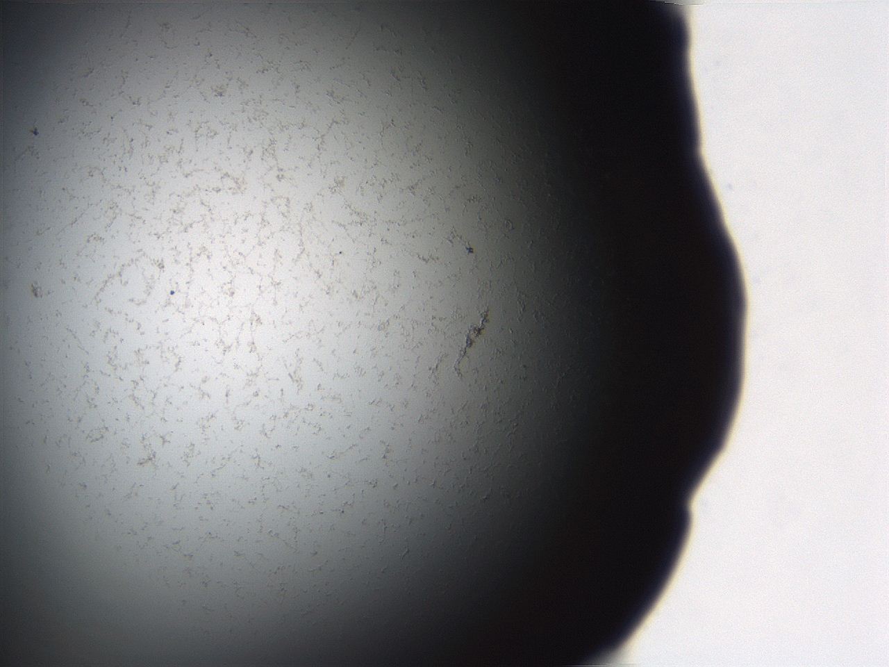 06eb_B8_ImagerDefaults_3.jpg