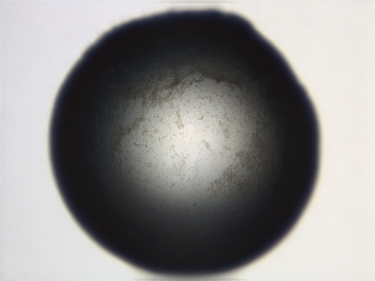 06eb_D12_ImagerDefaults_3.jpg